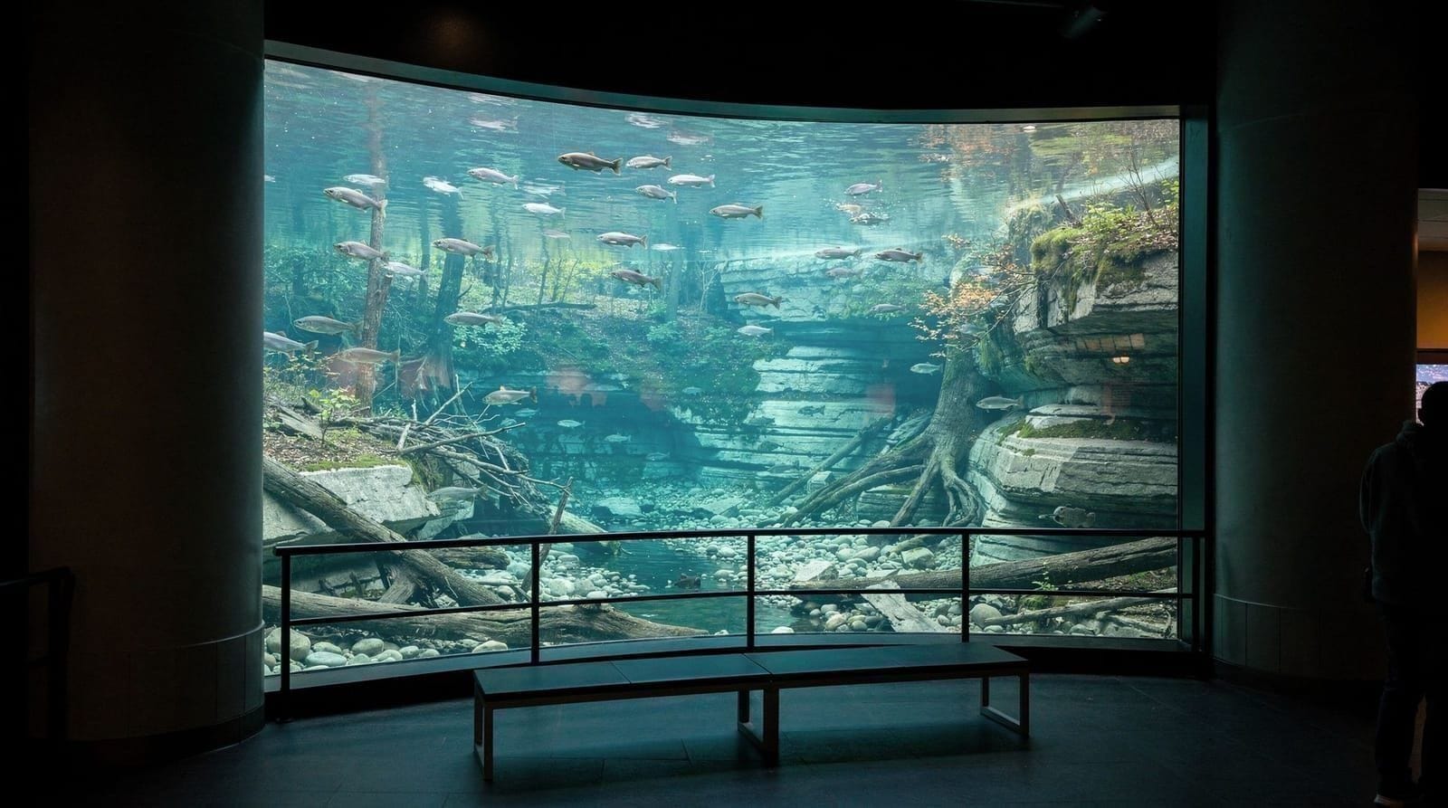 The Aquarium of Niagara