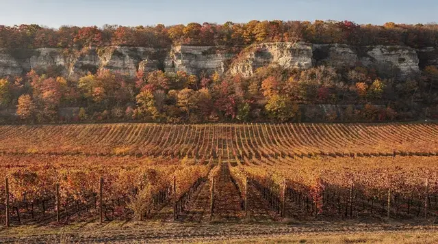 Beamsville bench