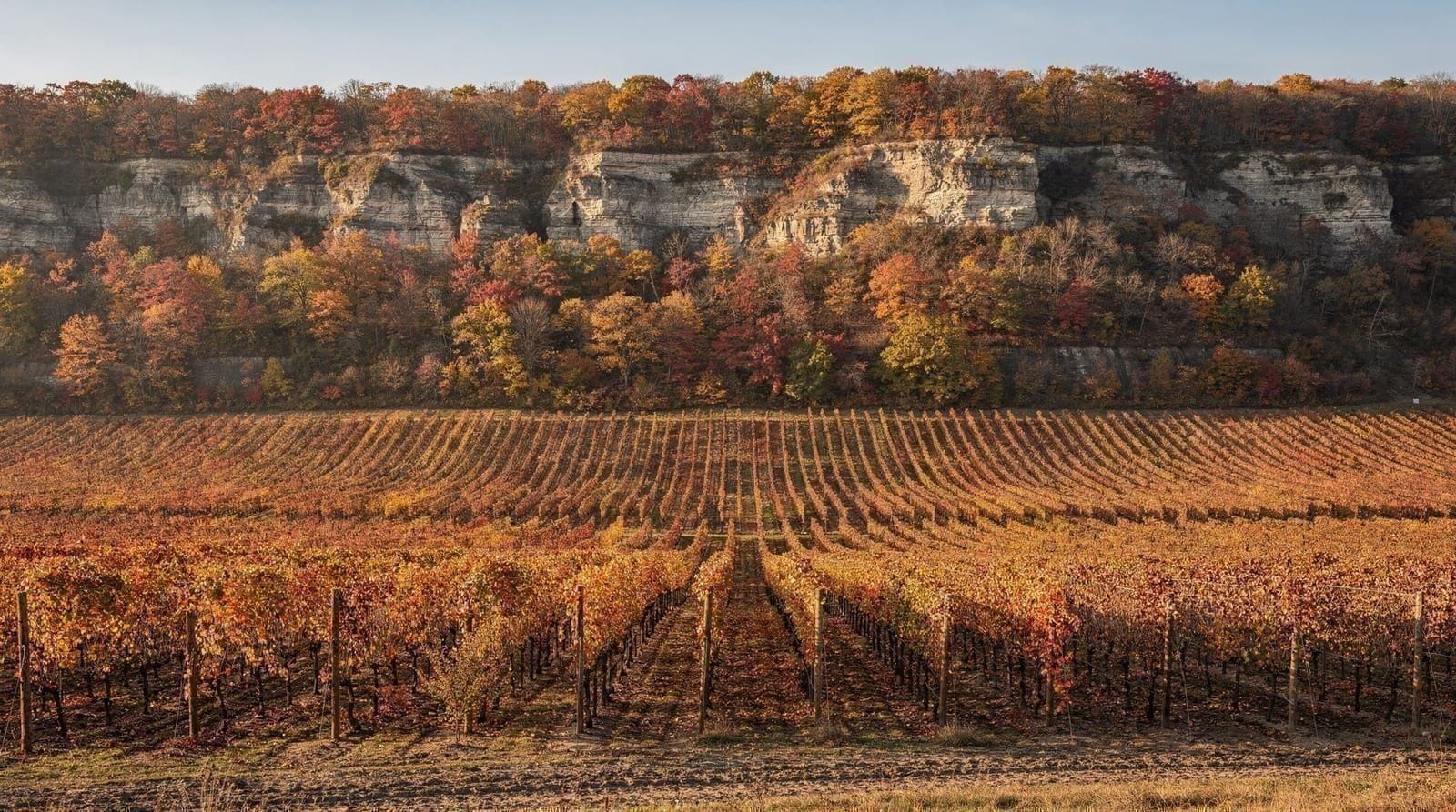The Beamsville Bench