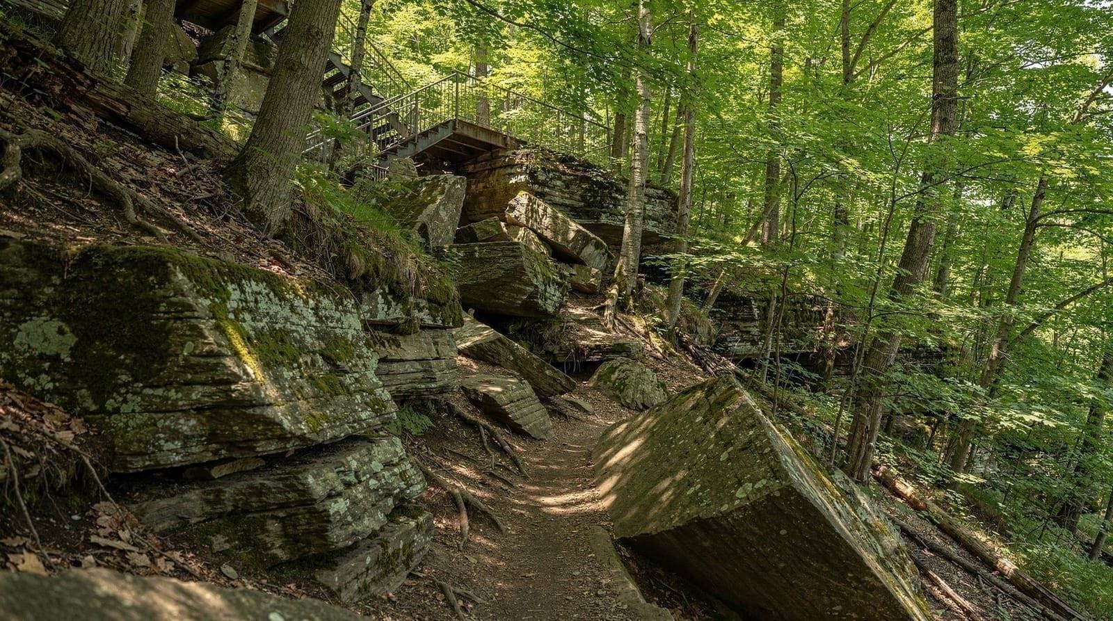Niagara Glen Nature Reserve: the free trail into the gorge