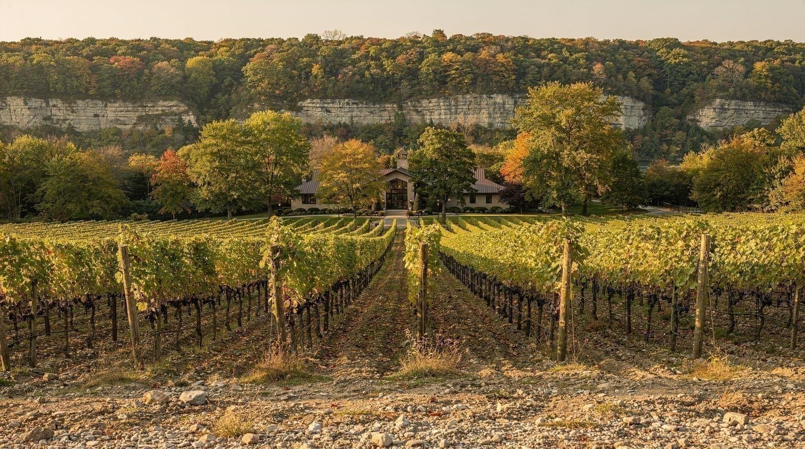 Niagara wine country: a practical guide