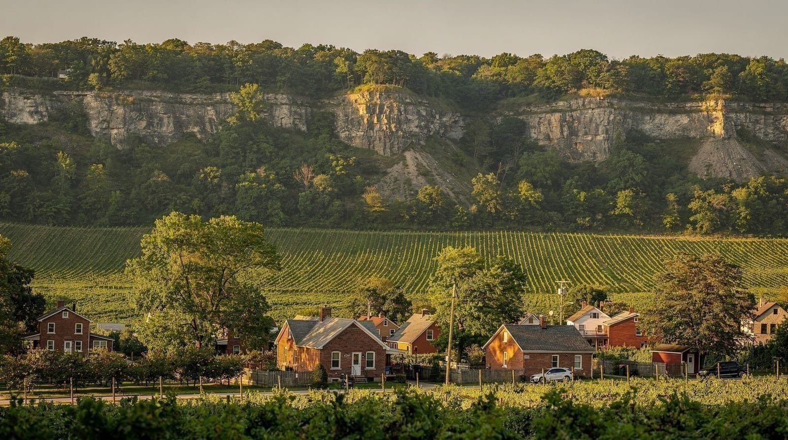 St. Davids: Niagara's quiet bench of clay-limestone vineyards