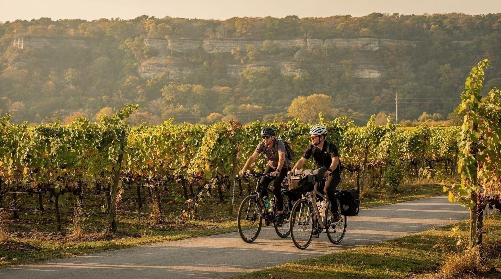 Faire du vélo sur la route des vins du Niagara