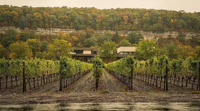 Niagara-on-the-Lake wineries: the appellation guide