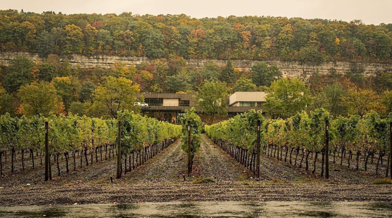Vignobles de Niagara-on-the-Lake : le guide de l'appellation