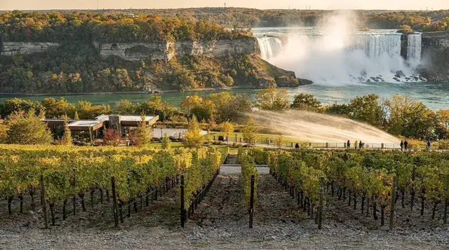 Niagara VQA appellations and grape varieties explained
