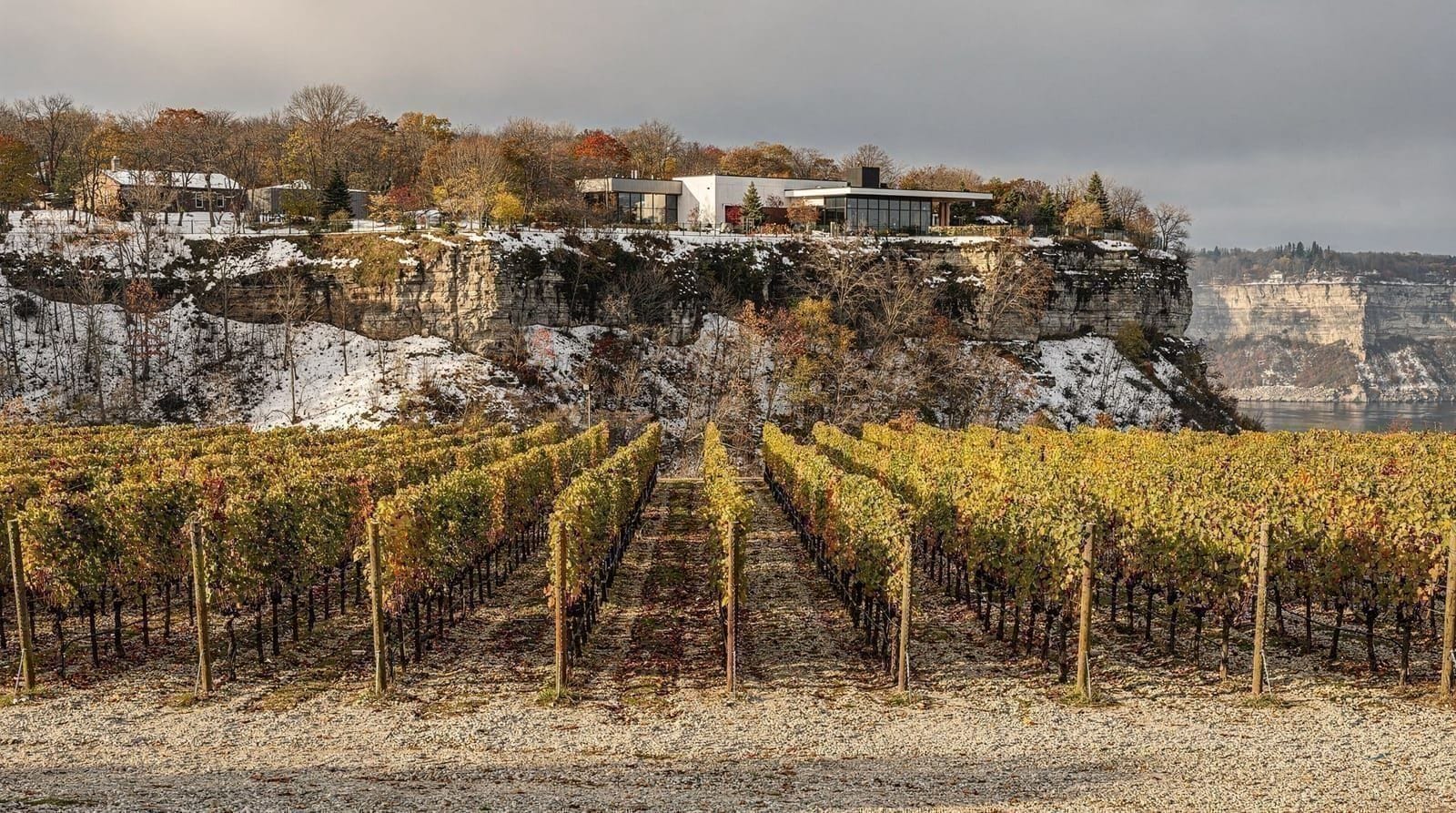 Twenty Valley et le Beamsville Bench : les vignobles de l'escarpement