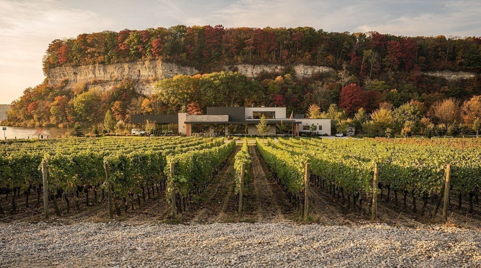 Organiser une journée de dégustation de vin avec chauffeur près des chutes du Niagara